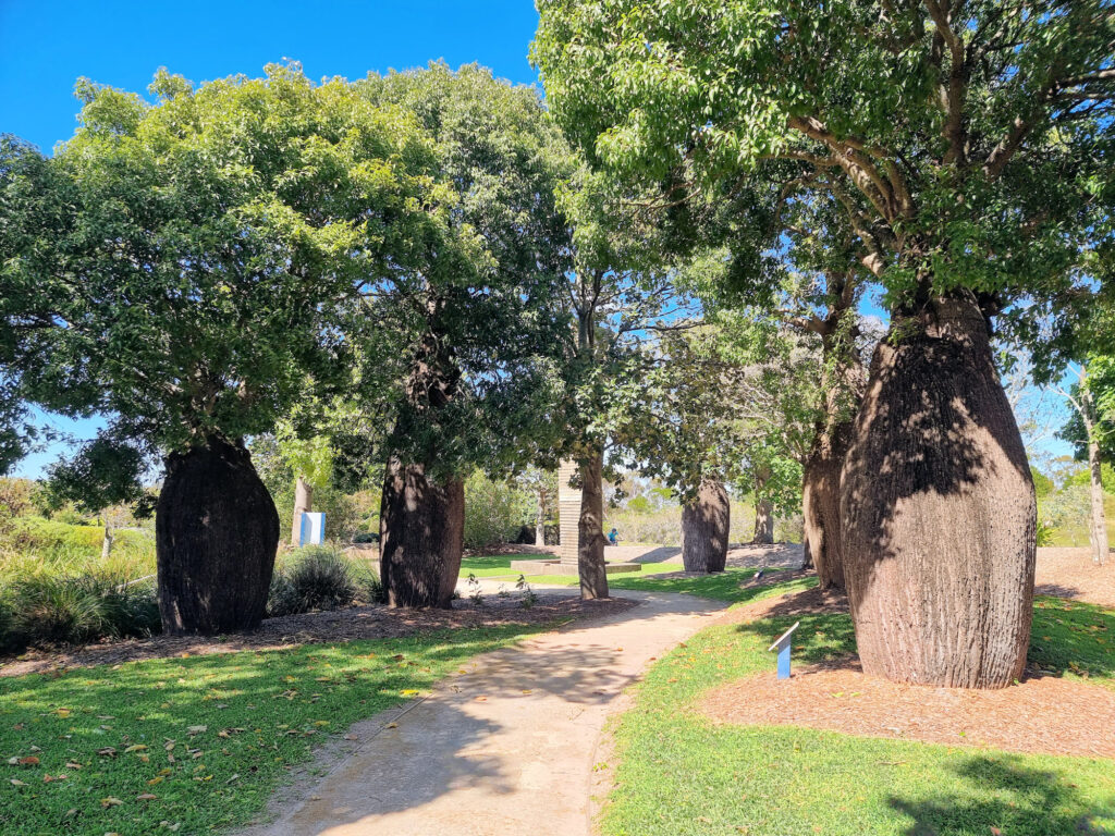 Bottle Tree Grove