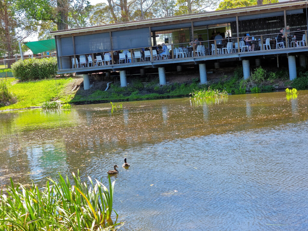 Café overlooking the pond