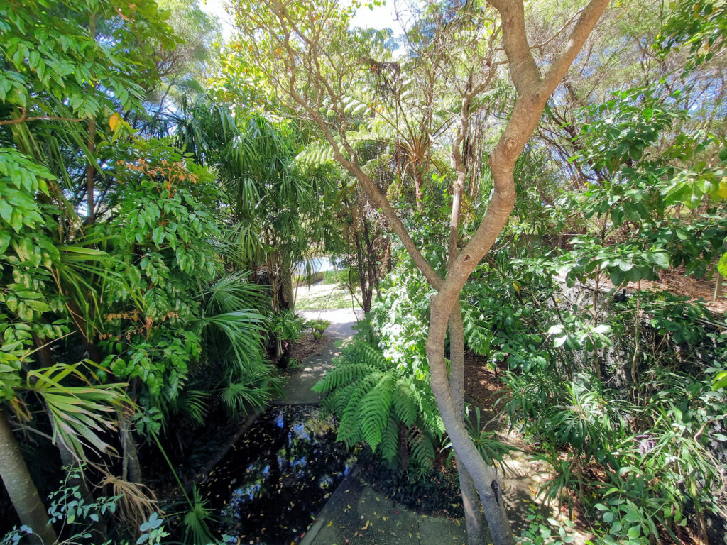 Rainforest Mount Penang Gardens