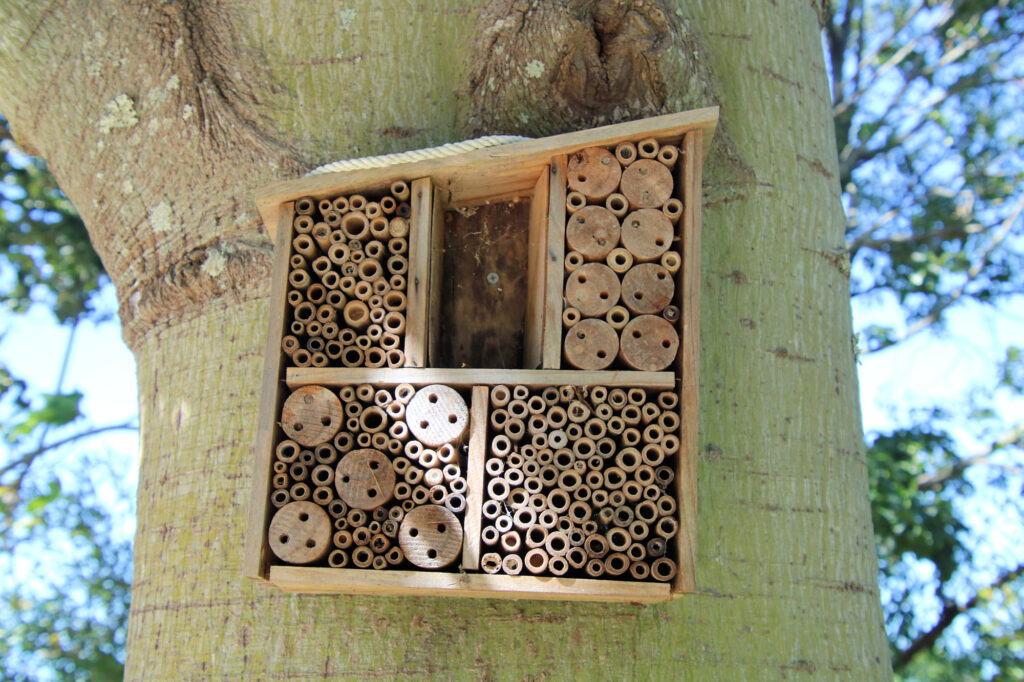 Insect Hotel