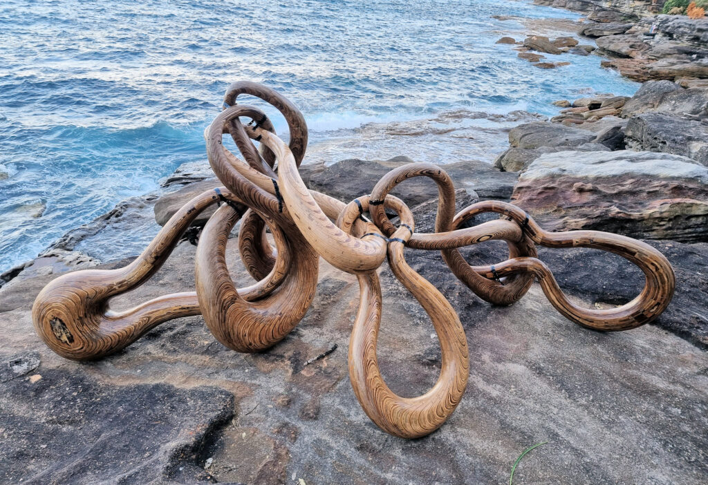 Bondi irens by Charlie Trivers