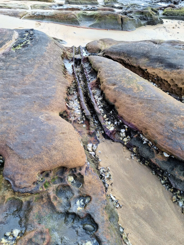 Rusting remains of the barrage from World War Two Brooklyn Ferry to Dangar Island