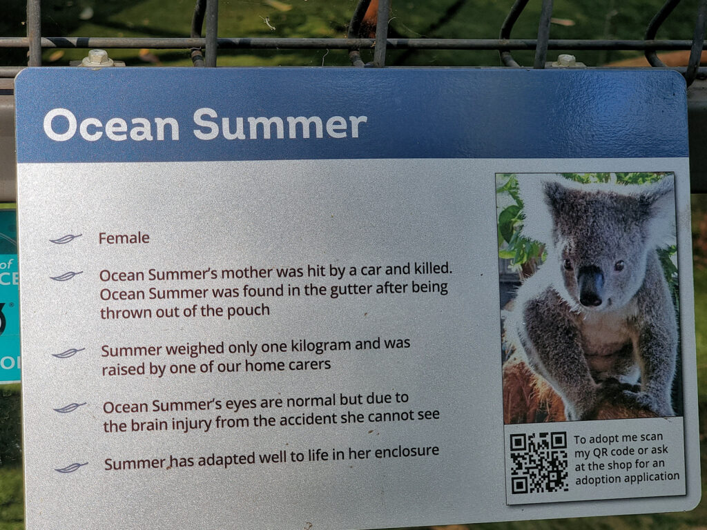 Information board Koala Hospital Port Macquarie