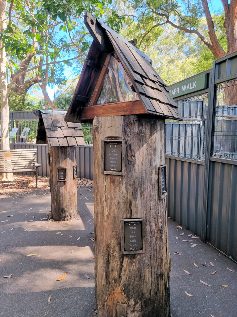 Koala Hospital Port Macquarie