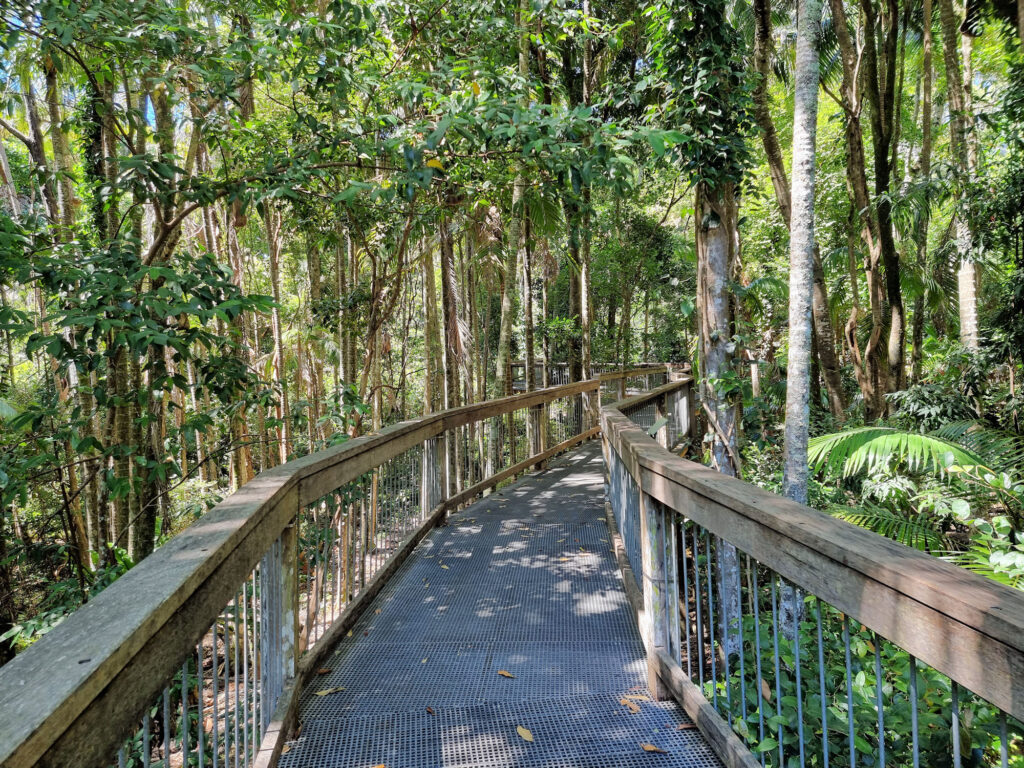 Sea Acres Rainforest Boardwalk