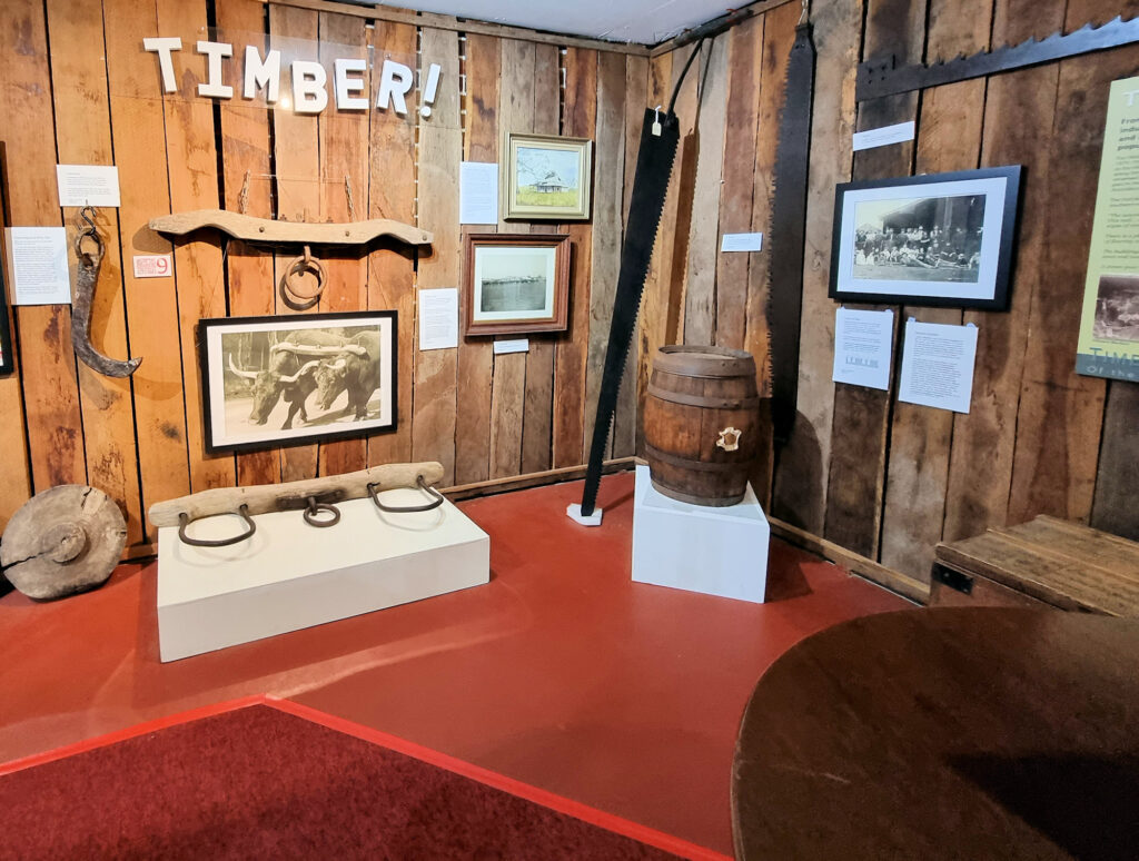 Timber and its importance to Port Macquarie