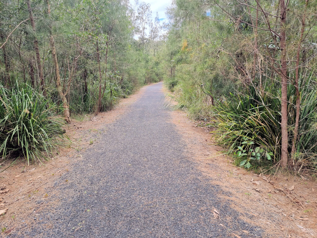 Start of the Track