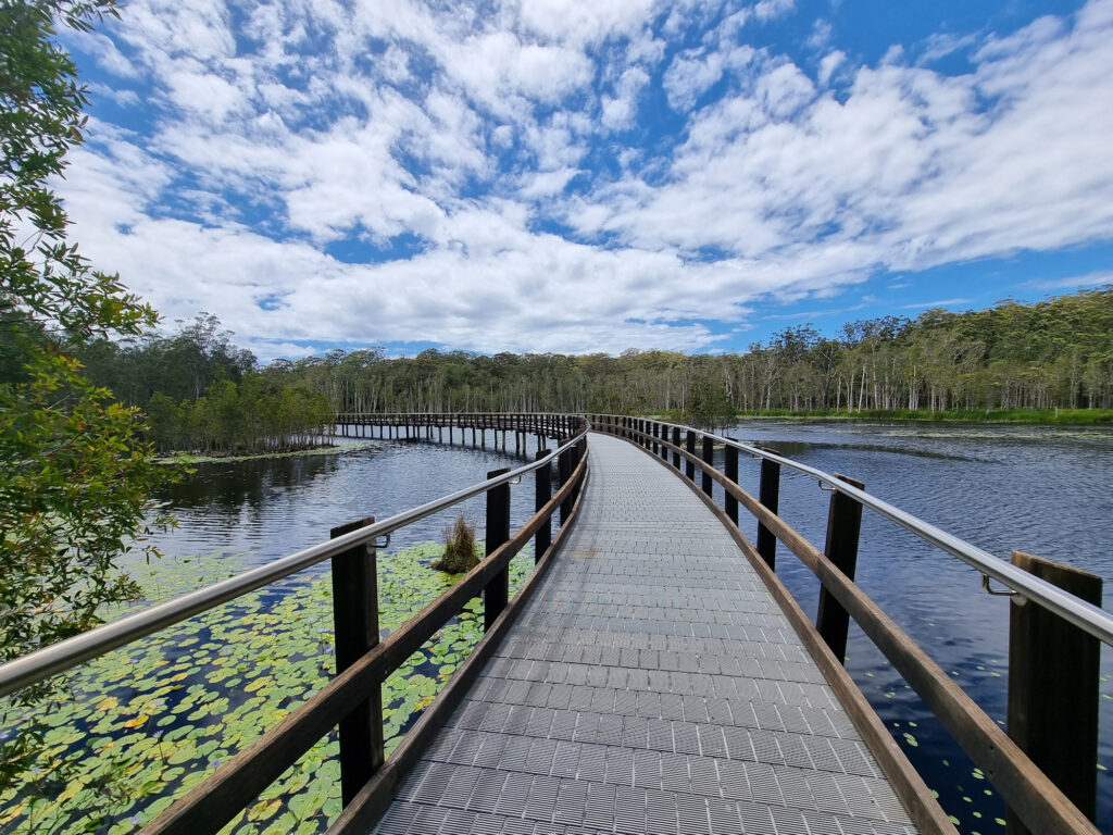 The boardwalk over the swamp