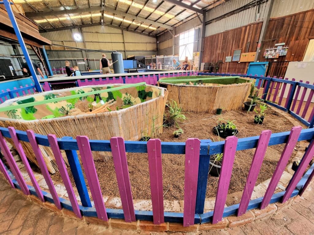 Interior of the Shark and Ray Rescue Centre