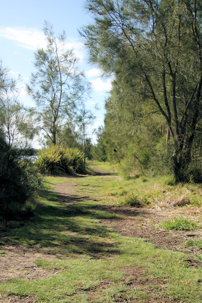 Continuation of the track along the shore of Lake Macquarie Swansea Boardwalk