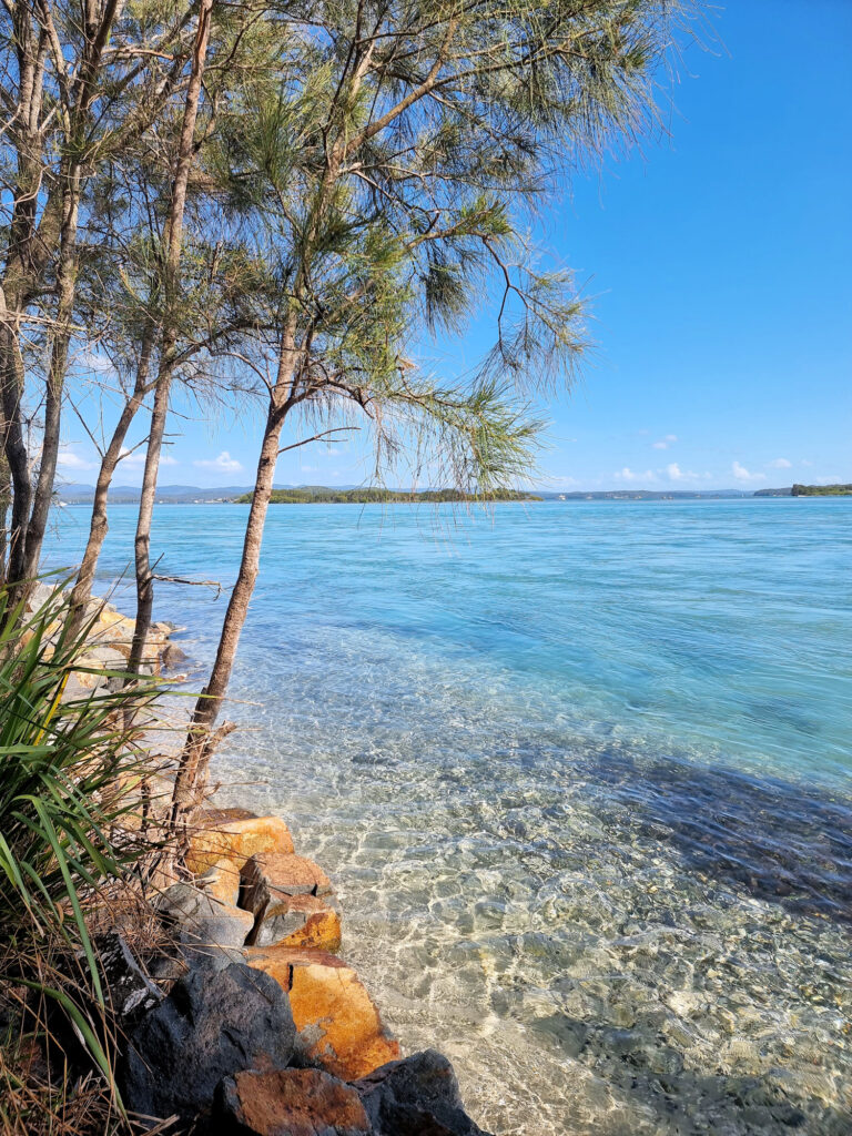 Shore of Lake Macquarie