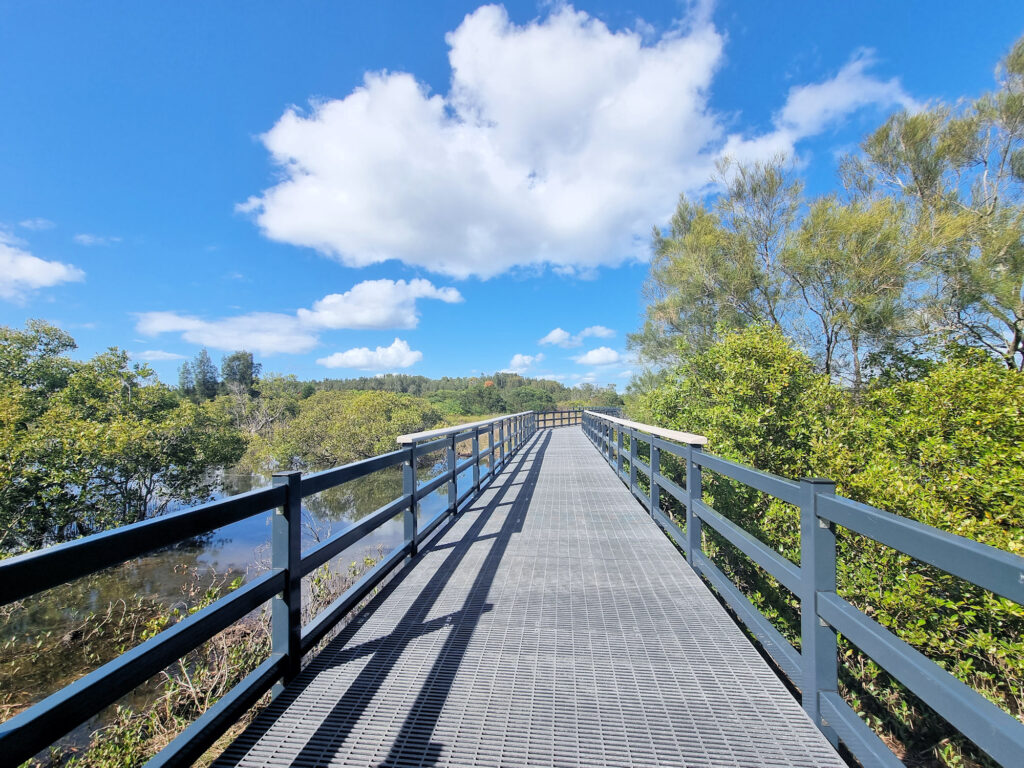 The Swansea Boardwalk passing through mangroves