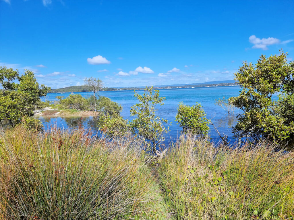 View across Lake Macquarie from the Swansea Boardwalk