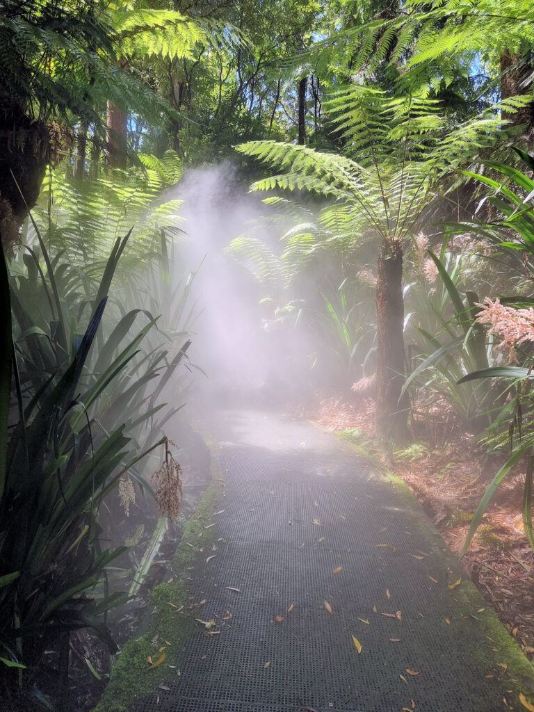 Mist Spray in the Rainforest Gully