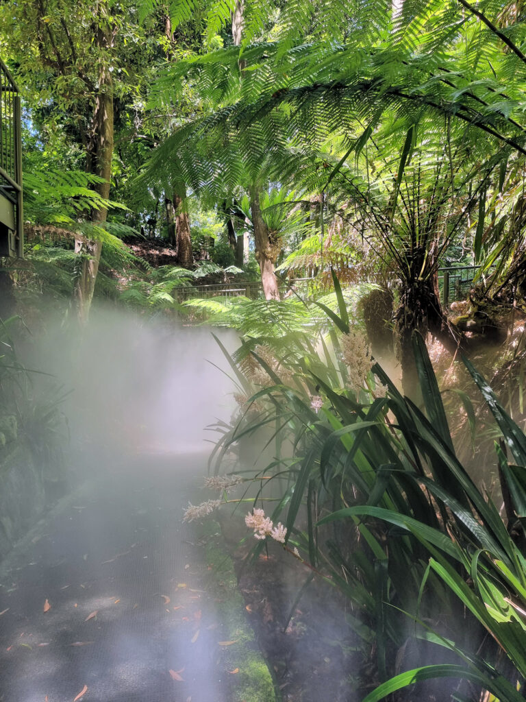 Mist Spray in the Rainforest Gully Australian National Botanic Gardens