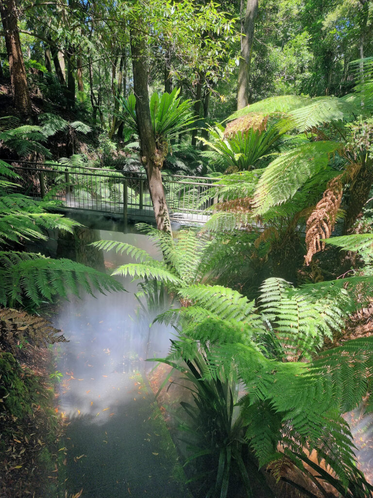 Mist Spray in the Rainforest Gully