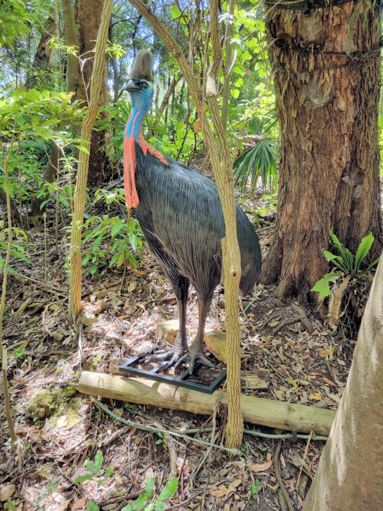 Cassowary statue