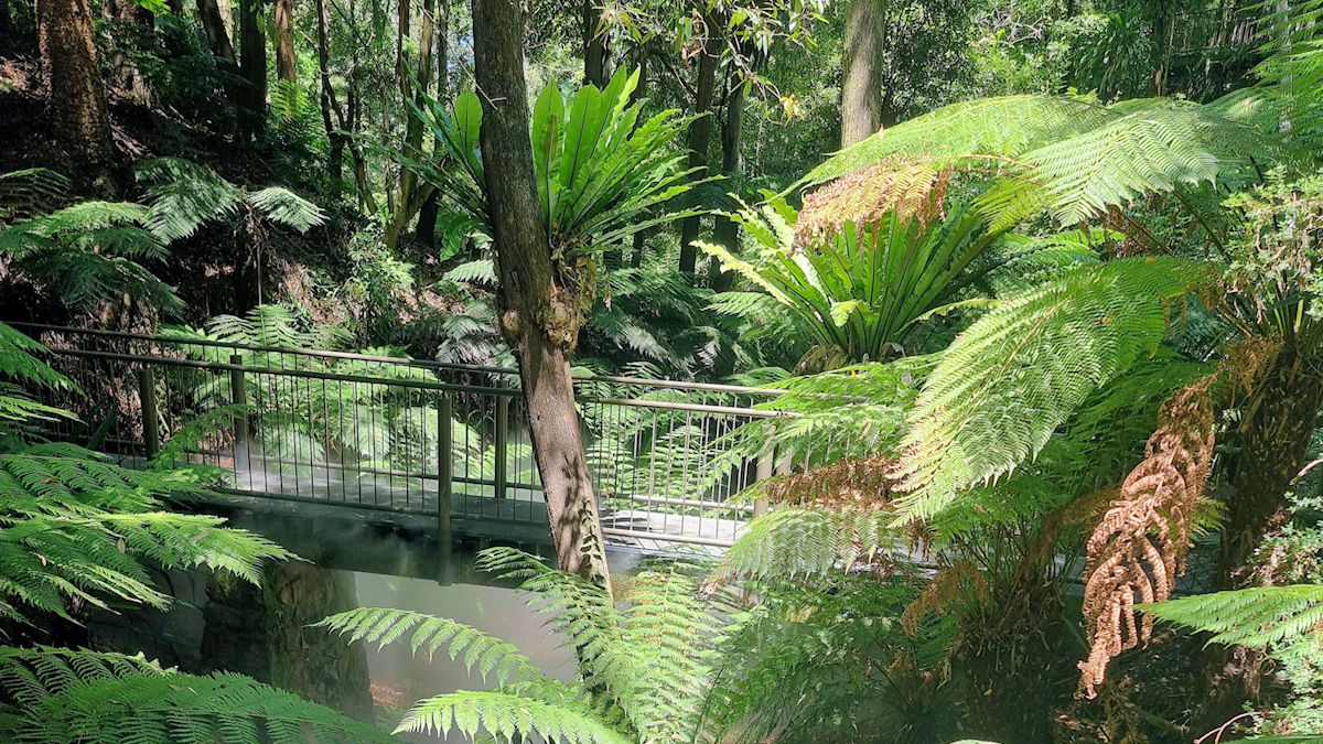 Australian National Botanic Garden