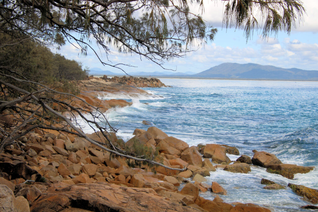 Shoreline at Trial Bay