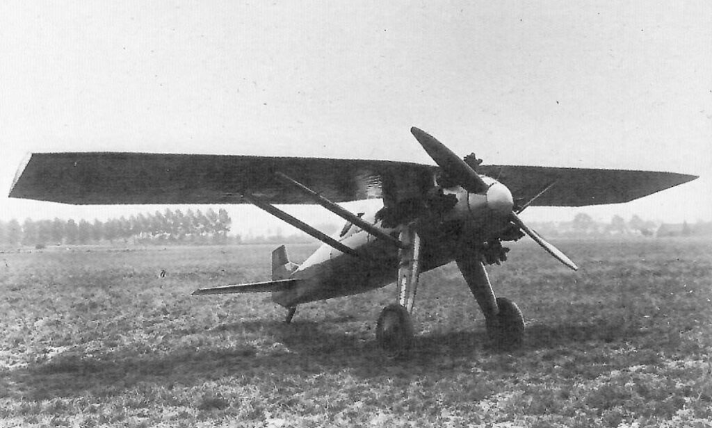 Renard Epervier Type 2