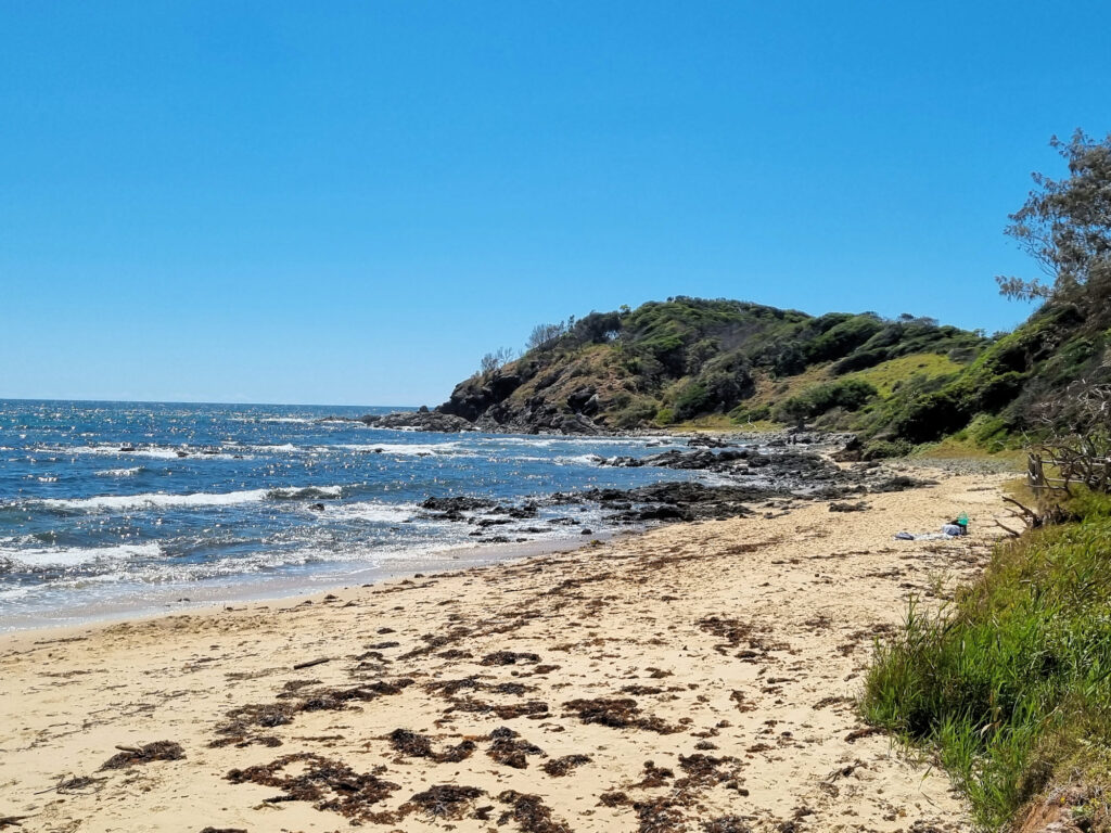 Shelly Beach Port Macquarie