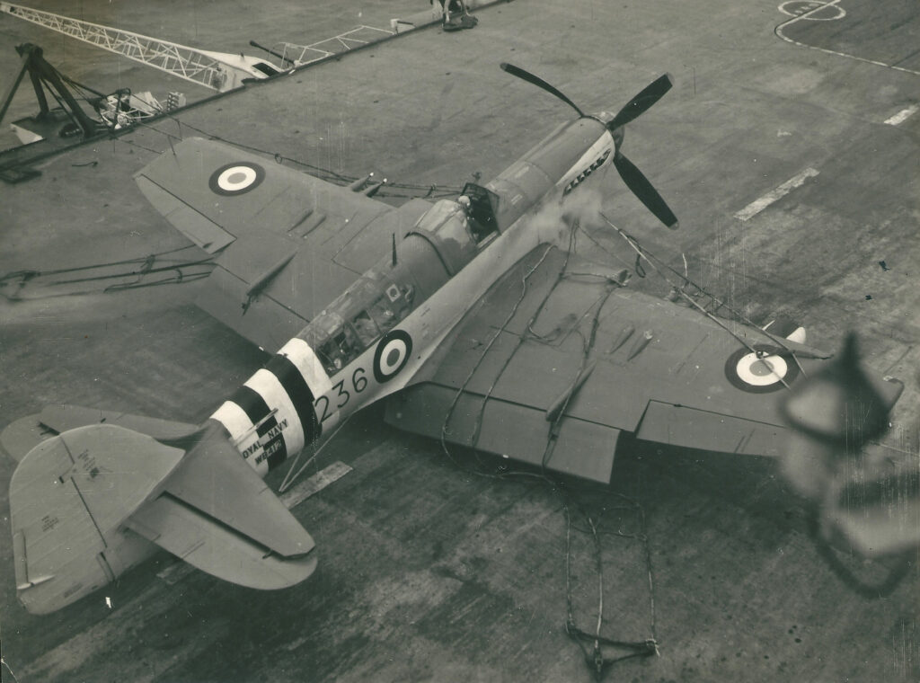 Fairey Firefly having been stopped by the safety net on HMS Theseus