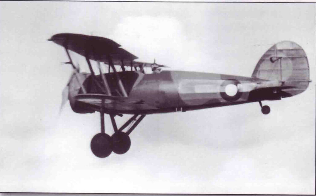 Danish Gloster Gauntlet