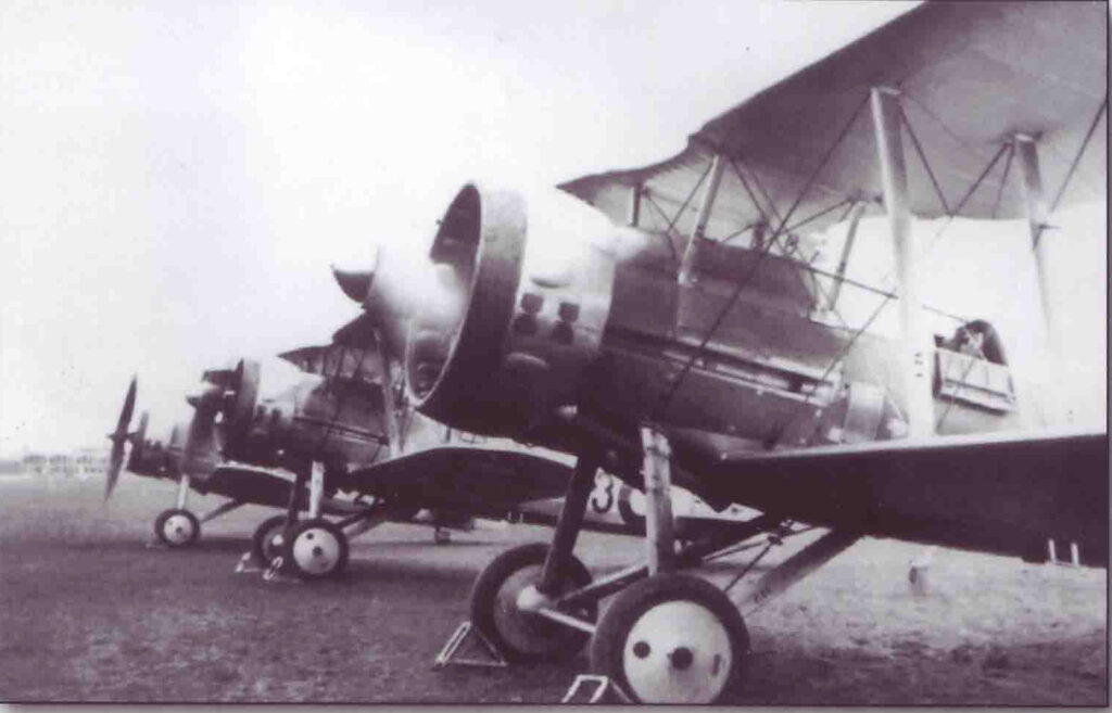 Line-up of Danish Gloster Gauntlet fighters