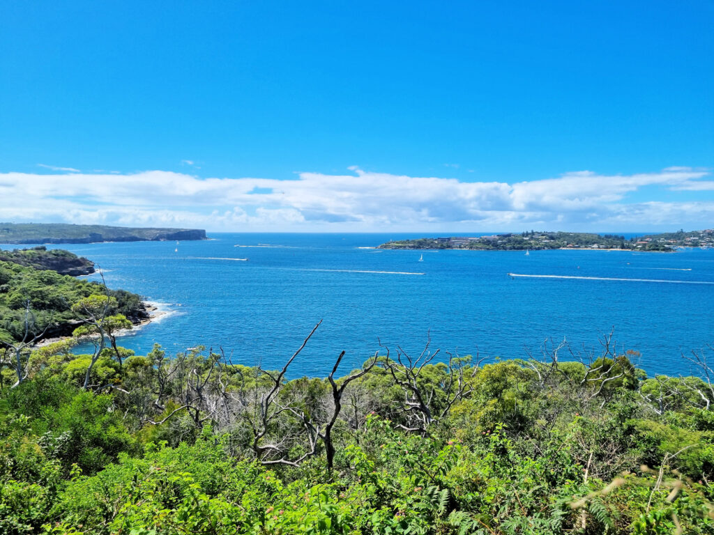 View Over Sydney Harbour from the Headland Park Walking Track