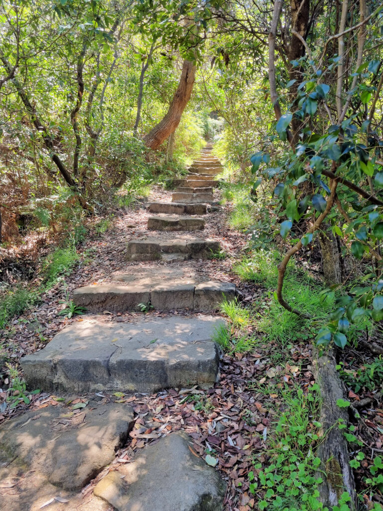 Stone steps