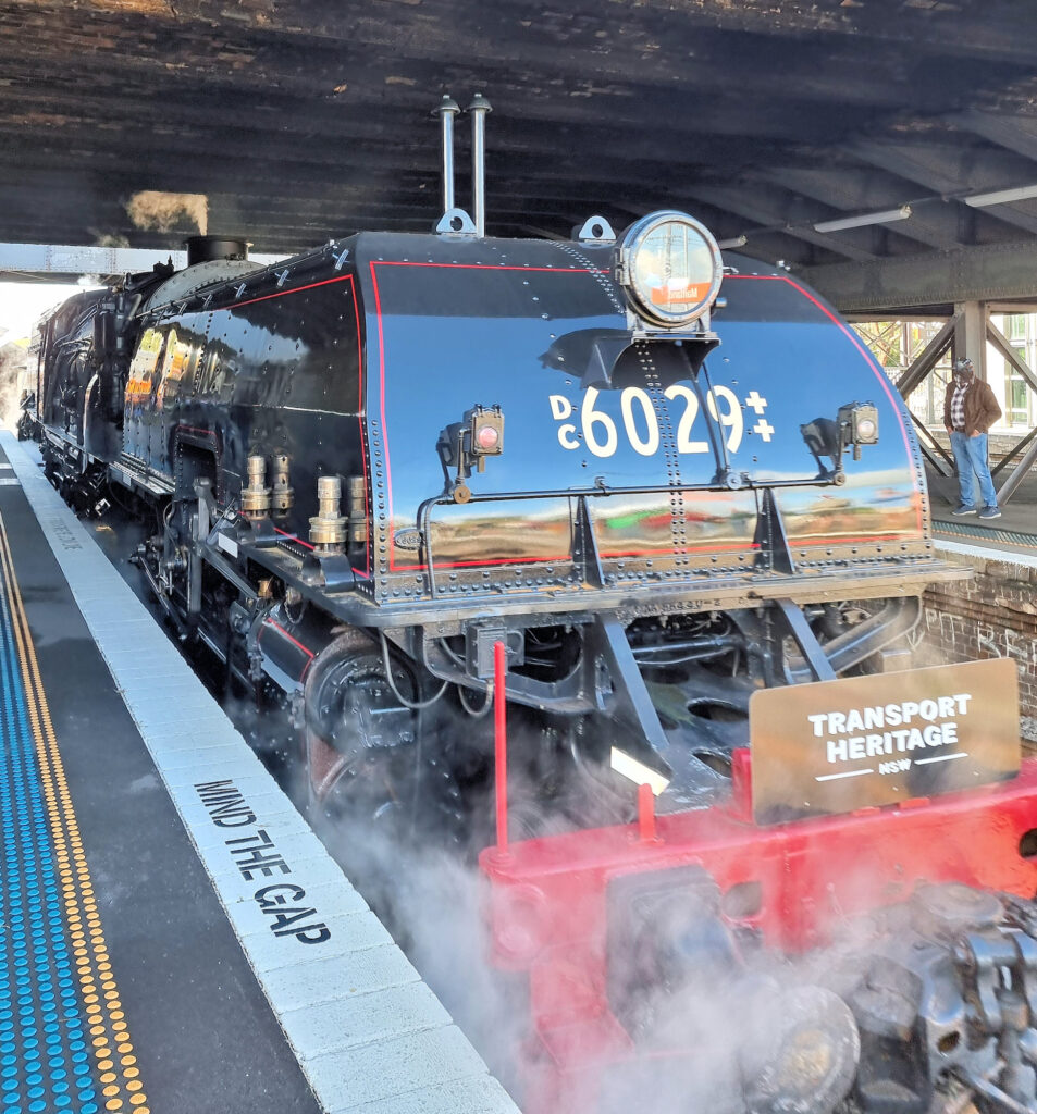 Steam Locomotive Beyer Garratt #6029