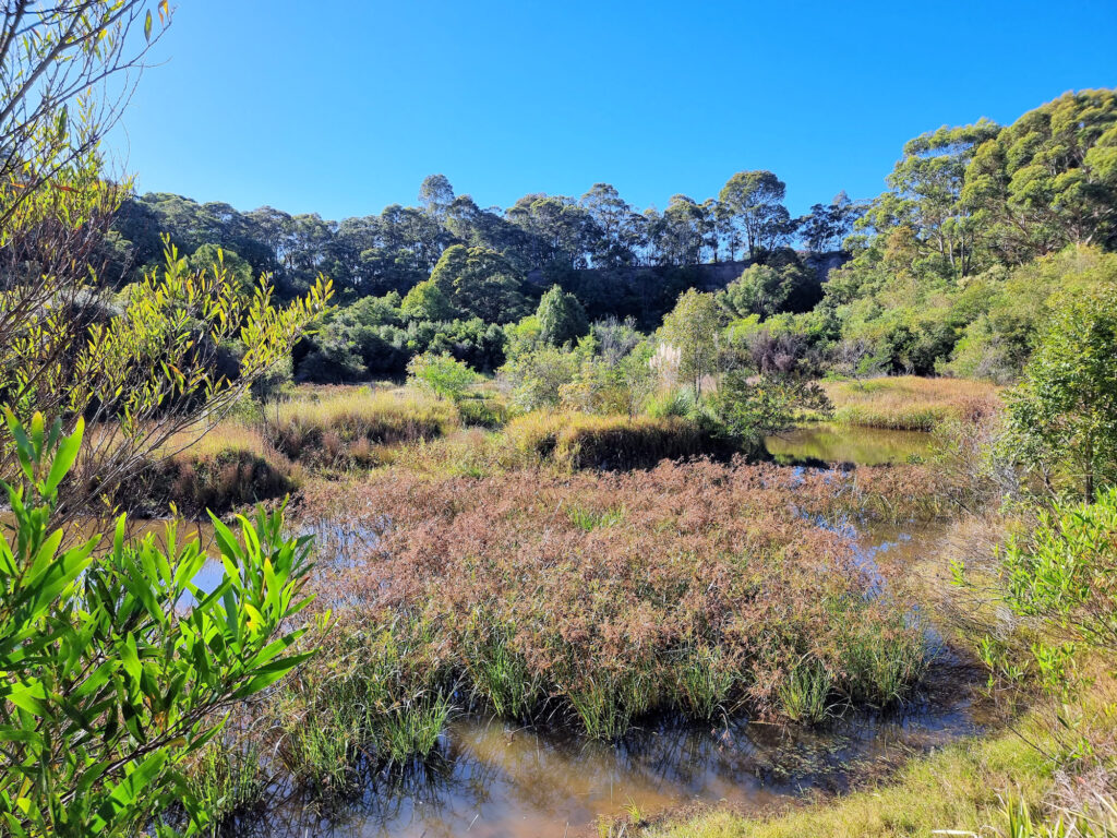 The old quarry is now a wetland Brickworks Park