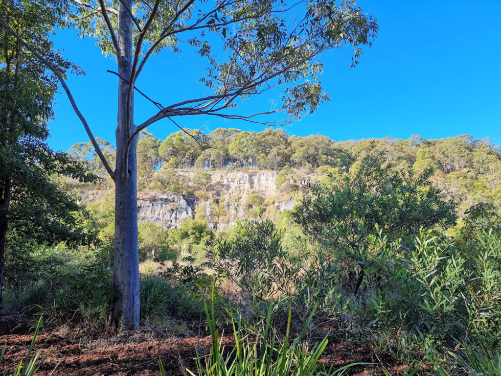 The old quarry face. Hidden behind trees