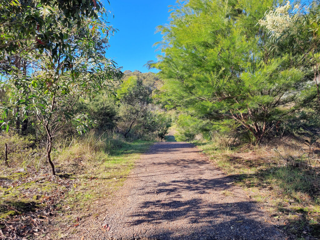 Walking track through the Brickworks Park