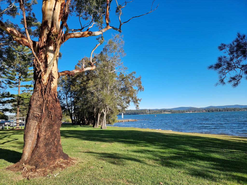 Foreshore at Lake Macquarie