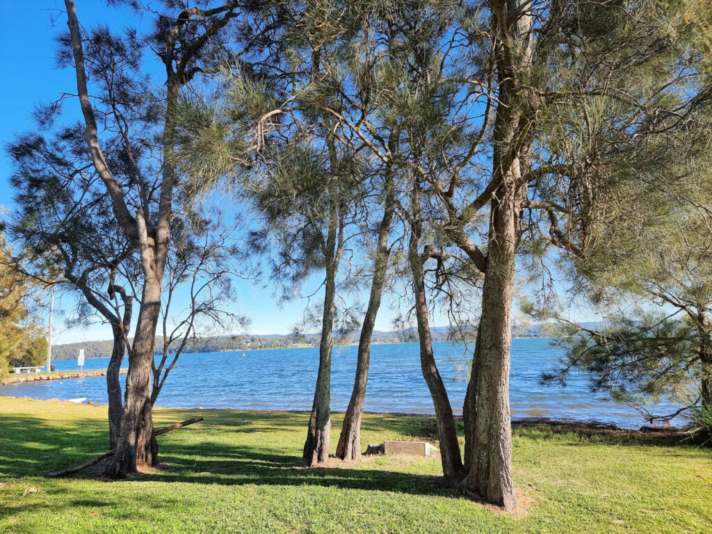 Lake Macquarie Watagan Cycle Track Warners Bay