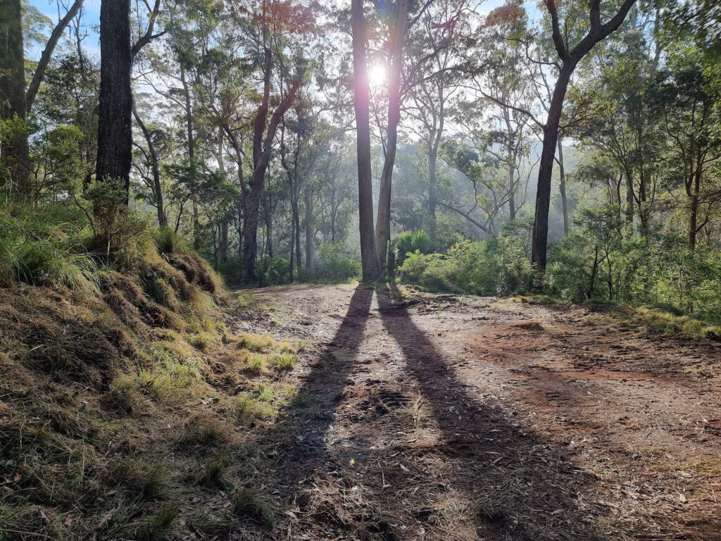 Sunrise at the start of the track Palona Cave Walk