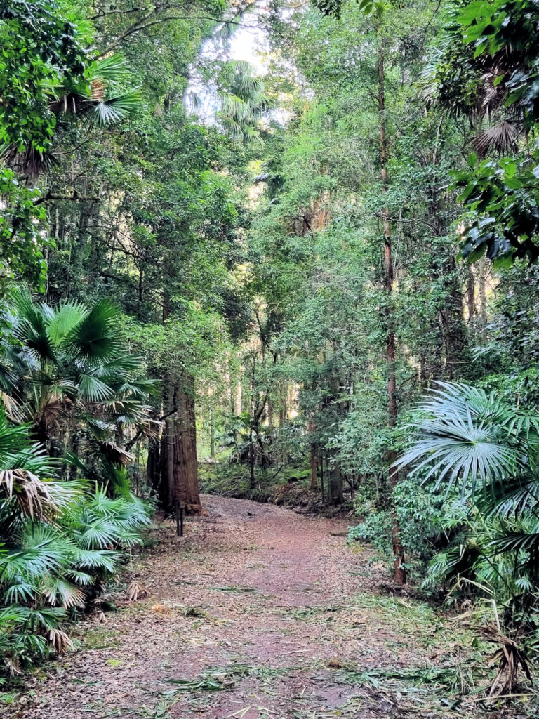 Lady Carrington Drive Trail Palona Cave Walk