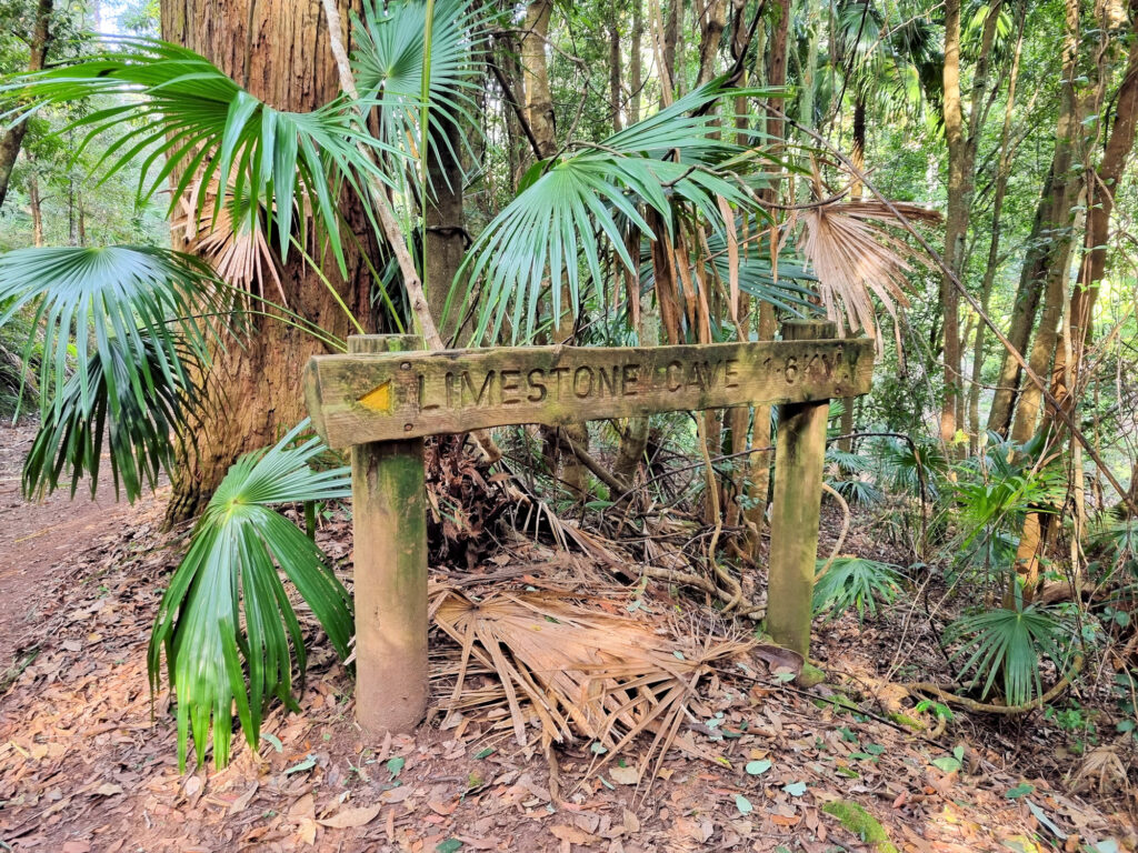 Sign to the cave track. Hidden behind the tree.