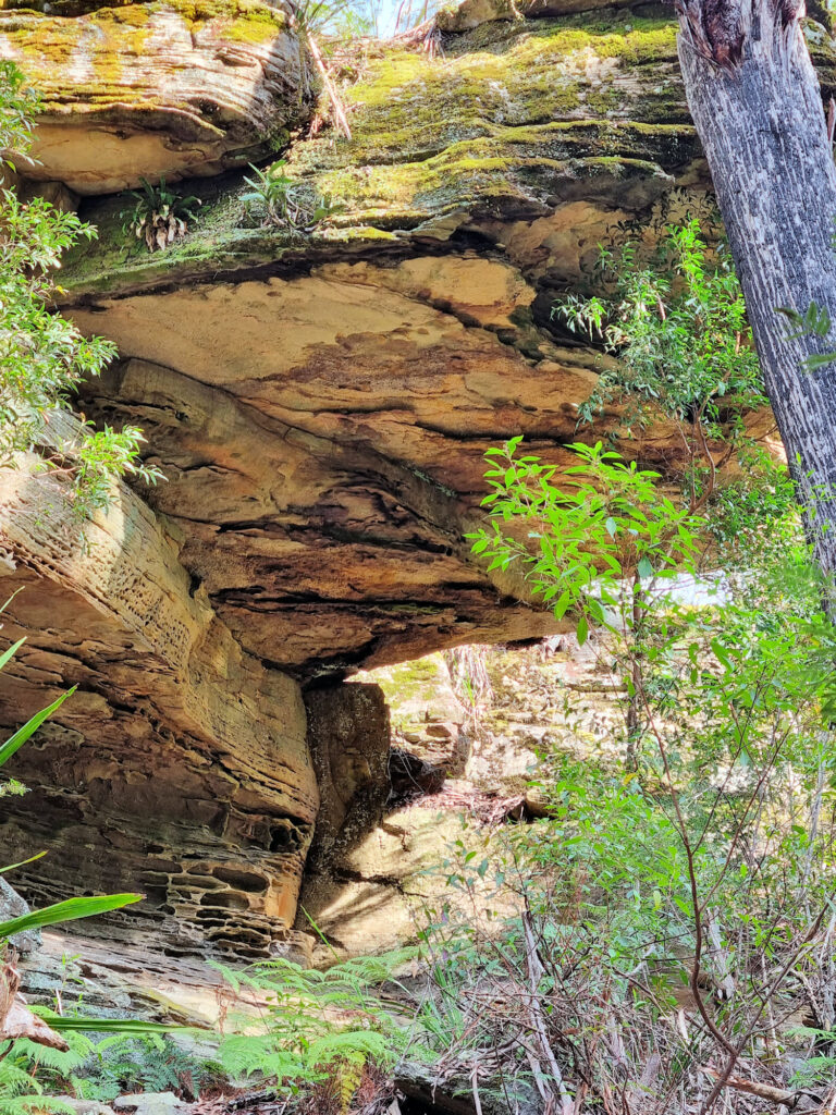 Rock overhang on the track Palona Cave Walk