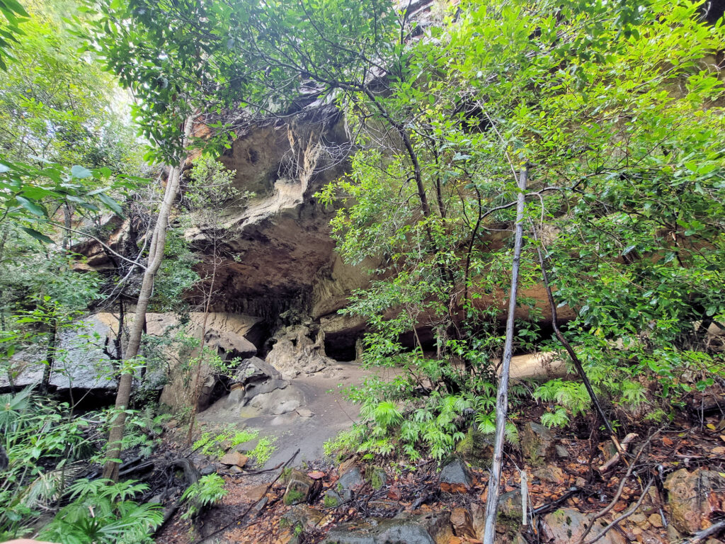 Entrance to the cave Palona Cave Walk