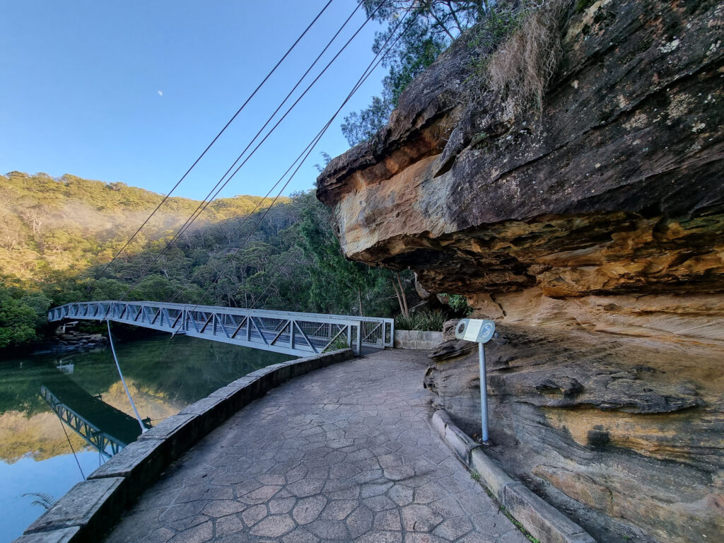 Suspension bridge through the mangroves