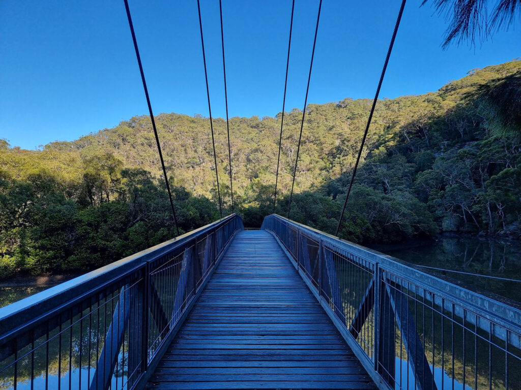 Suspension bridge through the mangroves Bobbin Head Mangrove Boardwalk