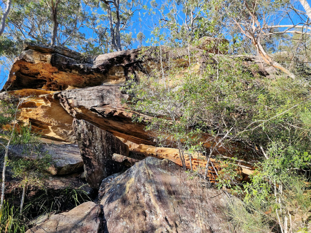 Eroded sandstone Bobbin Head Mangrove Boardwalk