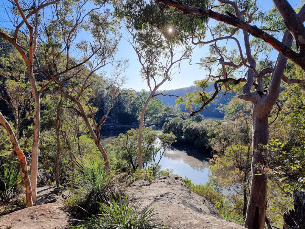 View over Cowan Creek Bobbin Head Mangrove Boardwalk