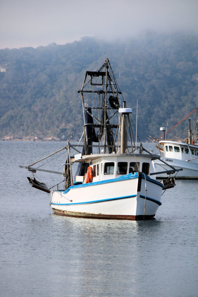 Fishing boat moored off Patonga