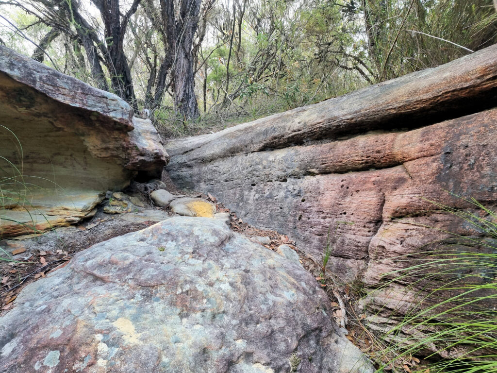 Lichen cover rock on the track