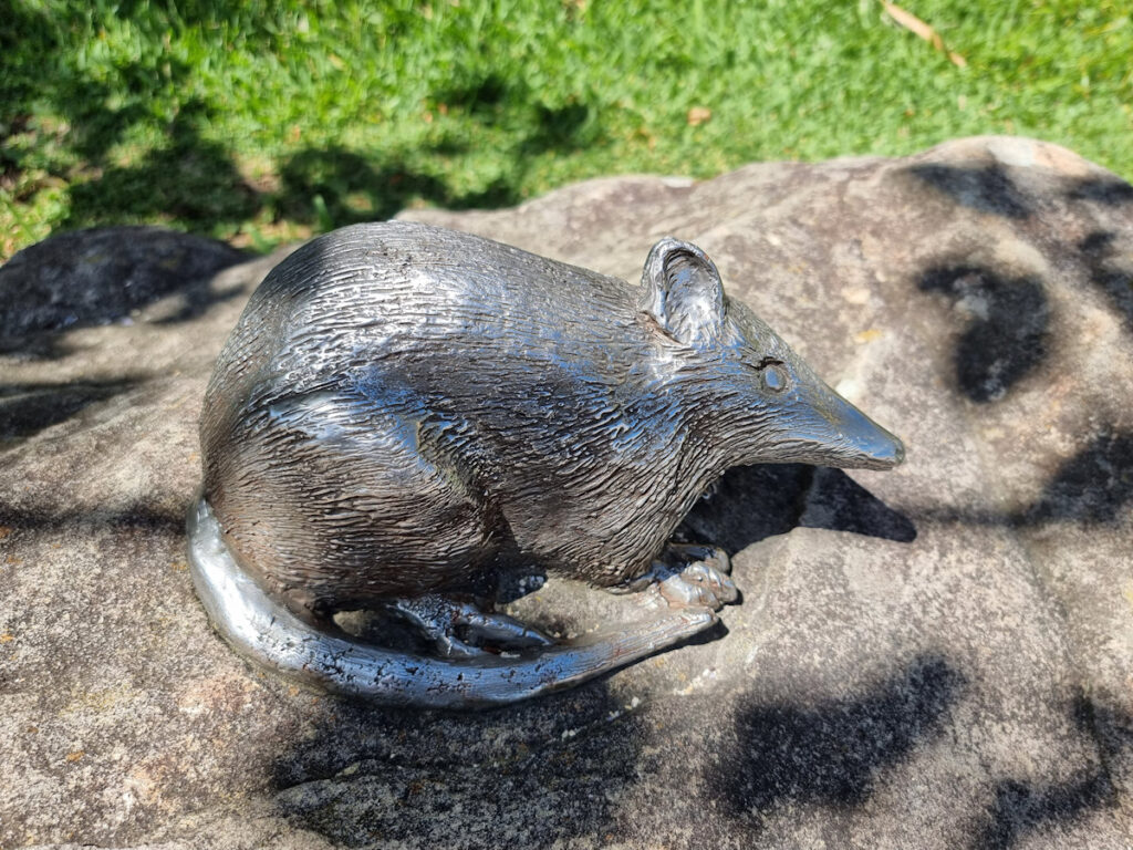 Sculpture of an bandicoot near Shelly Beach Manly to North Head Walk