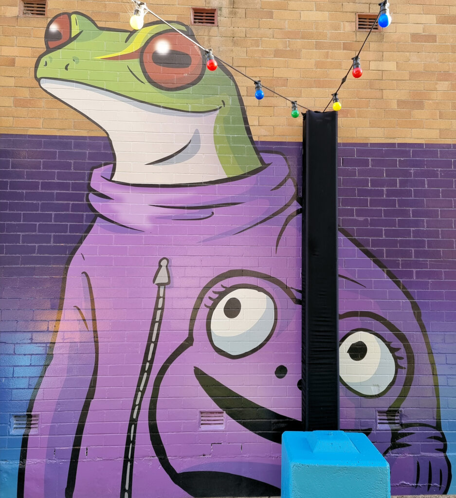 Frog Mural in Stillbury Lane Maitland Street Art