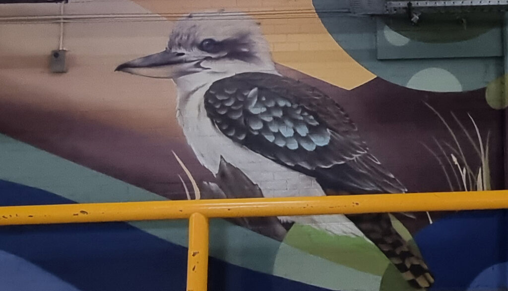 Kookaburra Maitland Riverside Plaza Carpark